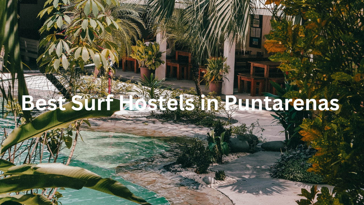 Best surf hostels Puntarenas
