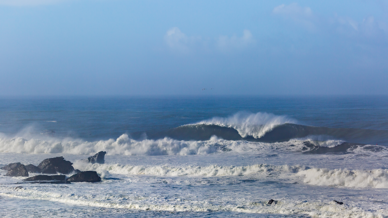 Surfing & Sharks (The “Sharkiest” Surf Destinations in the World)